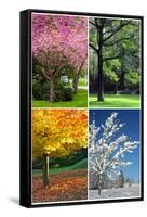 Four Seasons Collage: Spring, Summer, Autumn, Winter-Hannamariah-Framed Stretched Canvas