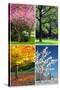 Four Seasons Collage: Spring, Summer, Autumn, Winter-Hannamariah-Stretched Canvas