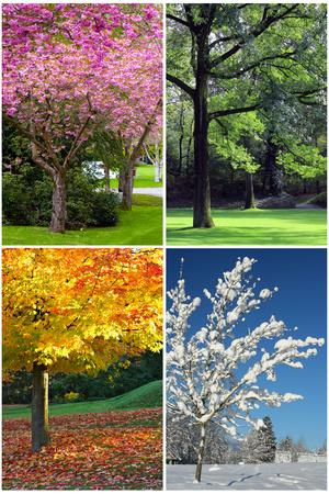 'Four Seasons Collage: Spring, Summer, Autumn, Winter' Print ...