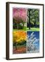 Four Seasons Collage: Spring, Summer, Autumn, Winter-Hannamariah-Framed Art Print