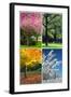 Four Seasons Collage: Spring, Summer, Autumn, Winter-Hannamariah-Framed Art Print