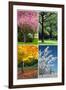 Four Seasons Collage: Spring, Summer, Autumn, Winter-Hannamariah-Framed Art Print