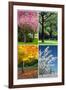 Four Seasons Collage: Spring, Summer, Autumn, Winter-Hannamariah-Framed Art Print