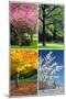 Four Seasons Collage: Spring, Summer, Autumn, Winter-Hannamariah-Mounted Art Print
