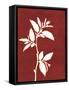 Four Seasons Foliage III-Megan Meagher-Framed Stretched Canvas
