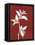 Four Seasons Foliage III-Megan Meagher-Framed Stretched Canvas