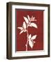 Four Seasons Foliage III-Megan Meagher-Framed Art Print