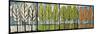 Four Seasons Tree Series Horizontal-Tim Nyberg-Mounted Giclee Print
