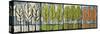 Four Seasons Tree Series Horizontal-Tim Nyberg-Stretched Canvas