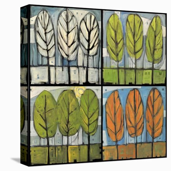 Four Seasons Tree Series Square-Tim Nyberg-Stretched Canvas