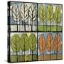 Four Seasons Tree Series Square-Tim Nyberg-Stretched Canvas