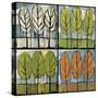 Four Seasons Tree Series Square-Tim Nyberg-Stretched Canvas