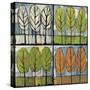 Four Seasons Tree Series Square-Tim Nyberg-Stretched Canvas