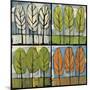 Four Seasons Tree Series Square-Tim Nyberg-Mounted Giclee Print