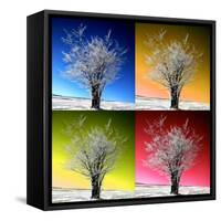 Four Seasons-Philippe Sainte-Laudy-Framed Stretched Canvas