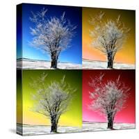 Four Seasons-Philippe Sainte-Laudy-Stretched Canvas