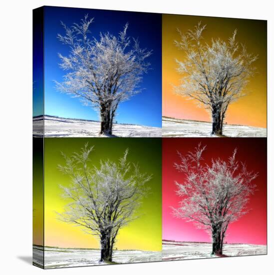 Four Seasons-Philippe Sainte-Laudy-Stretched Canvas