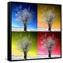 Four Seasons-Philippe Sainte-Laudy-Framed Stretched Canvas