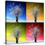 Four Seasons-Philippe Sainte-Laudy-Stretched Canvas