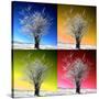 Four Seasons-Philippe Sainte-Laudy-Stretched Canvas