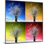 Four Seasons-Philippe Sainte-Laudy-Mounted Premium Photographic Print