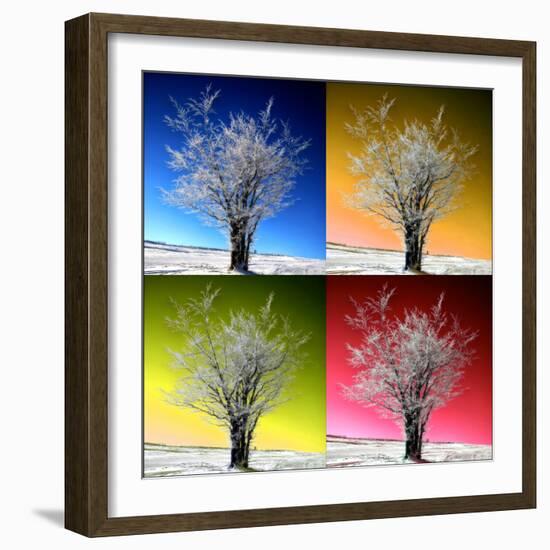 Four Seasons-Philippe Sainte-Laudy-Framed Photographic Print