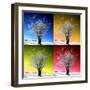 Four Seasons-Philippe Sainte-Laudy-Framed Photographic Print