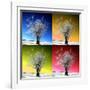 Four Seasons-Philippe Sainte-Laudy-Framed Photographic Print