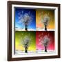 Four Seasons-Philippe Sainte-Laudy-Framed Photographic Print