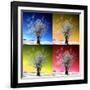 Four Seasons-Philippe Sainte-Laudy-Framed Photographic Print