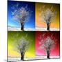 Four Seasons-Philippe Sainte-Laudy-Mounted Photographic Print