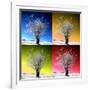 Four Seasons-Philippe Sainte-Laudy-Framed Photographic Print