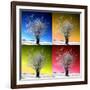 Four Seasons-Philippe Sainte-Laudy-Framed Photographic Print