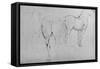 'Four Sketches of Horses', c1480 (1945)-Leonardo Da Vinci-Framed Stretched Canvas