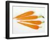 Four Slices of Carrot with Tops-Harry Bischof-Framed Photographic Print