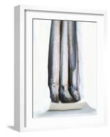 Four Smoked Eels in a Box-Peter Medilek-Framed Photographic Print