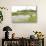 Four-Spotted Chaser {Libellula Quadrimaculata} Dragonfly on Grass with Swans in Background, UK-Ross Hoddinott-Stretched Canvas displayed on a wall