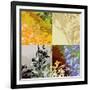 Four Square Floral-Ruth Palmer-Framed Art Print