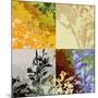 Four Square Floral-Ruth Palmer-Mounted Art Print