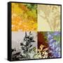 Four Square Floral-Ruth Palmer-Framed Stretched Canvas