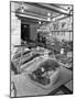 Four Star Metric Bacon, 1966-Michael Walters-Mounted Photographic Print