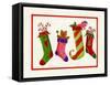Four Stockings-Beverly Johnston-Framed Stretched Canvas