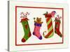 Four Stockings-Beverly Johnston-Stretched Canvas