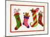 Four Stockings-Beverly Johnston-Mounted Giclee Print