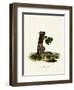 Four-Striped Grass Mouse-null-Framed Giclee Print