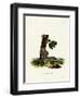 Four-Striped Grass Mouse-null-Framed Giclee Print