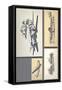 Four Studies - Aircraft and Ships-Laurence Fish-Framed Stretched Canvas
