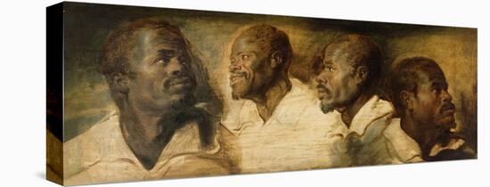 Four Studies of a Male Head-Peter Paul Rubens-Stretched Canvas