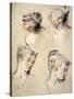 Four Studies of a Young Woman's Head-Antoine Watteau-Stretched Canvas