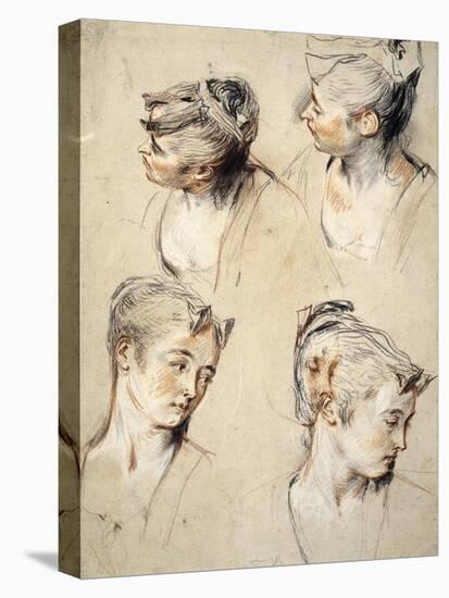 Four Studies of a Young Woman's Head-Antoine Watteau-Stretched Canvas